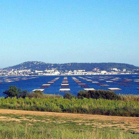 Port Mezua Lägenhet Mèze Exteriör bild