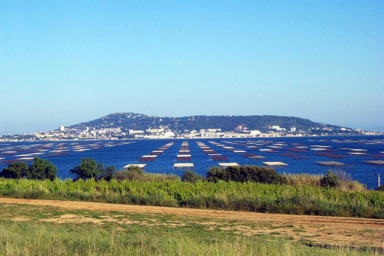 Port Mezua Lägenhet Mèze Exteriör bild