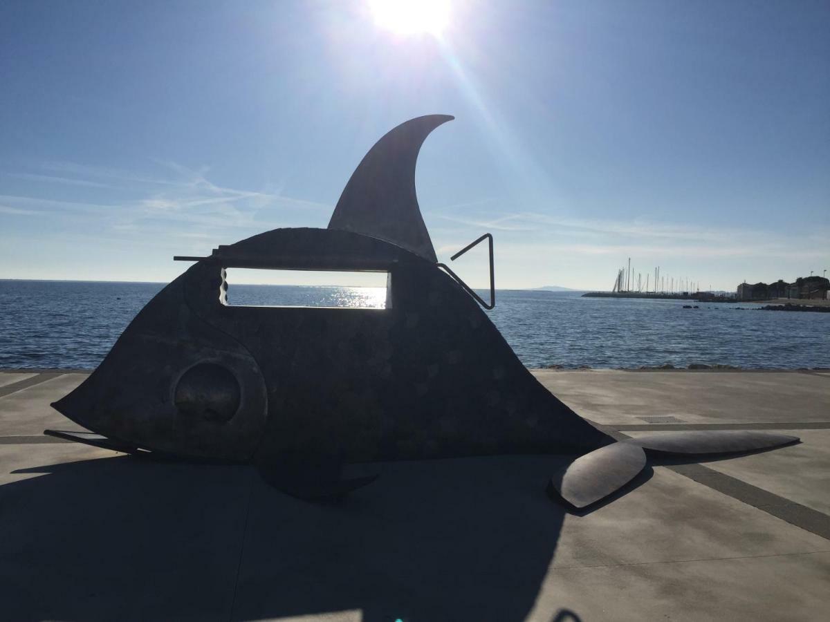 Port Mezua Lägenhet Mèze Exteriör bild